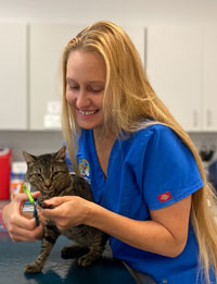 Meet Our Team - Williamsburg Veterinary Clinic, Veterinarian in ...